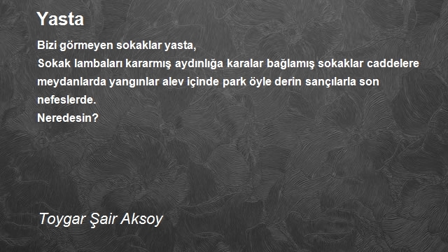 Toygar Şair Aksoy