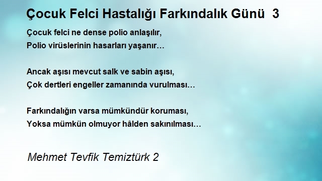 Mehmet Tevfik Temiztürk 2