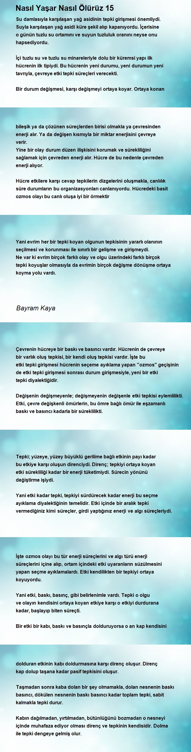 Bayram Kaya