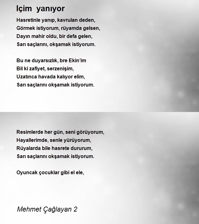 Mehmet Çağlayan 2