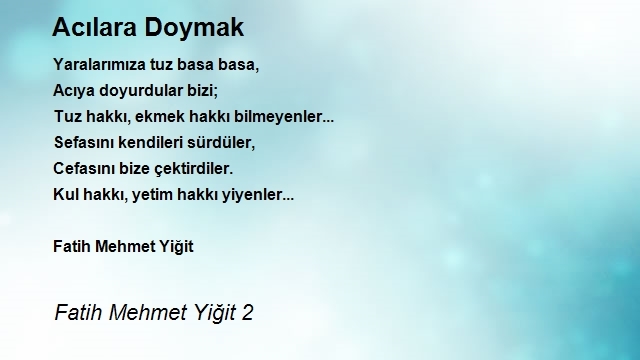 Fatih Mehmet Yiğit 2