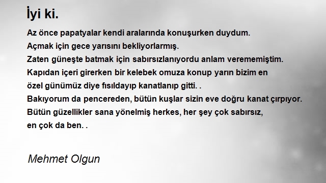 Mehmet Olgun