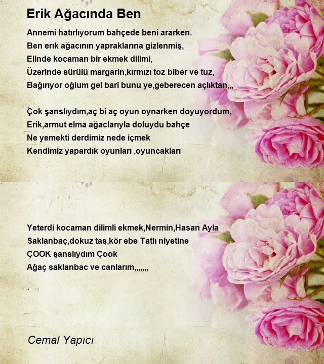 Cemal Yapıcı