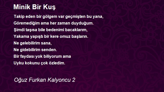 Oğuz Furkan Kalyoncu 2