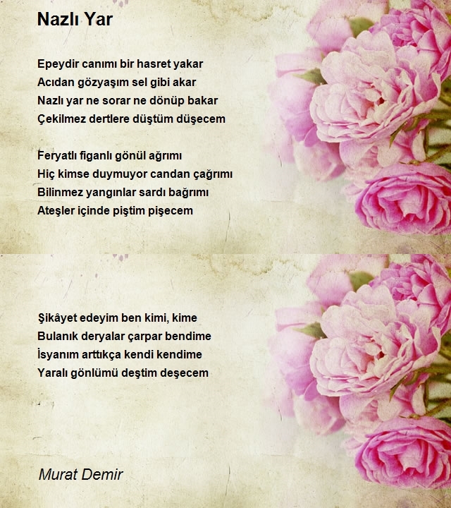 Murat Demir