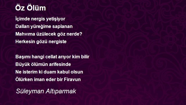 Süleyman Altıparmak