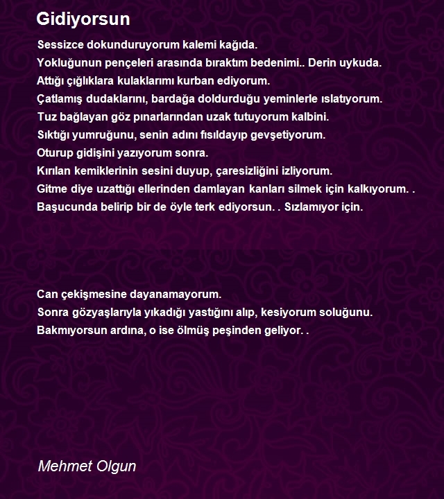 Mehmet Olgun