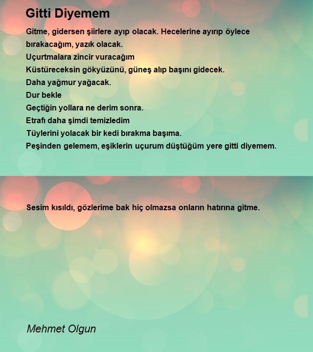 Mehmet Olgun