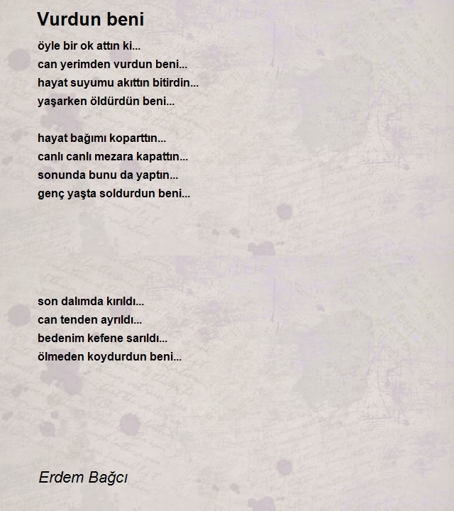 Erdem Bağcı