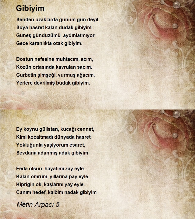 Metin Arpacı 5