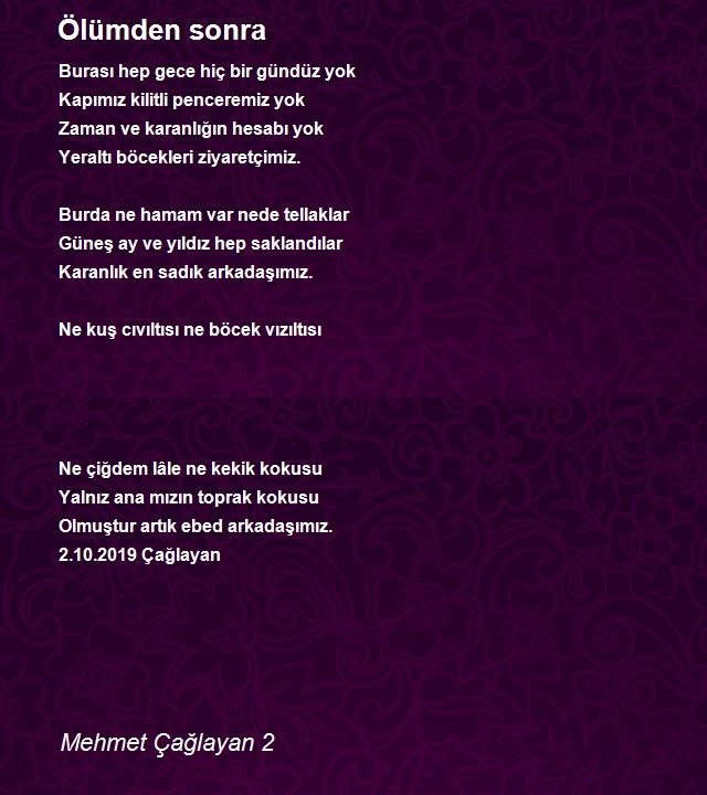 Mehmet Çağlayan 2