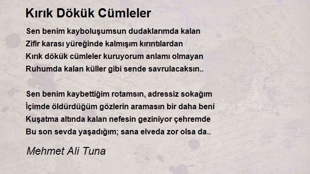 Mehmet Ali Tuna