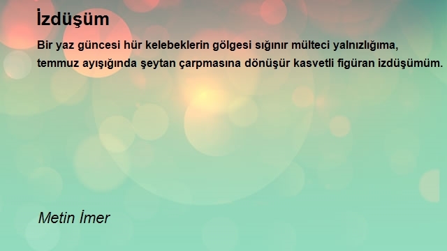 Metin İmer