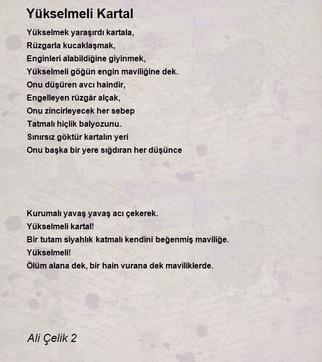 Ali Çelik 2