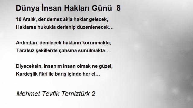 Mehmet Tevfik Temiztürk 2