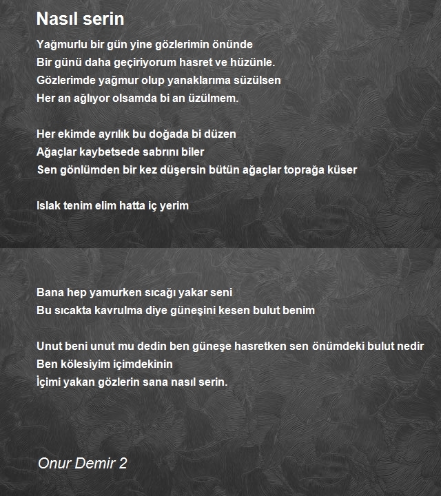 Onur Demir 2