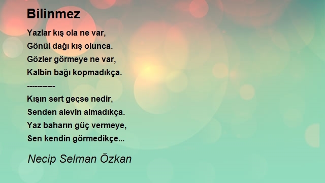 Necip Selman Özkan