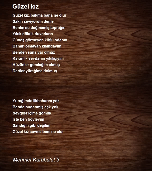 Mehmet Karabulut 3