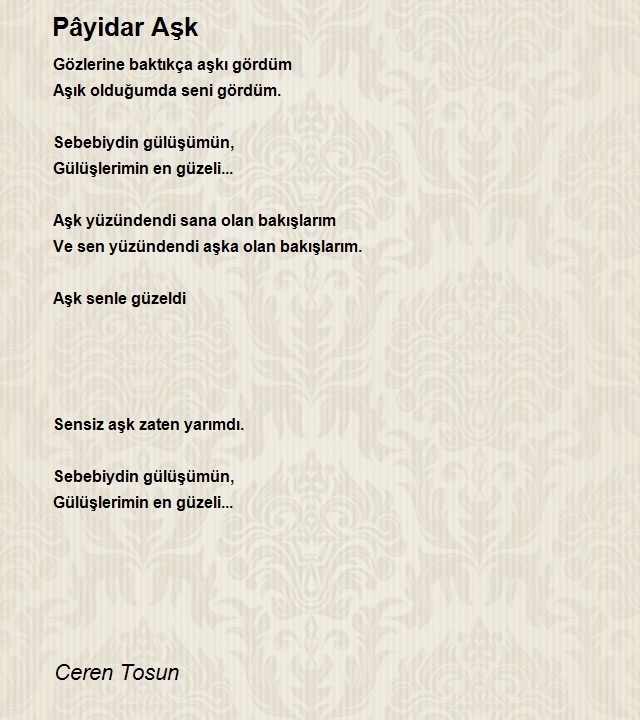 Ceren Tosun