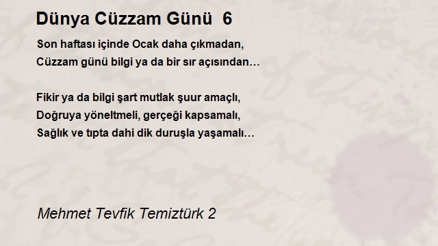 Mehmet Tevfik Temiztürk 2