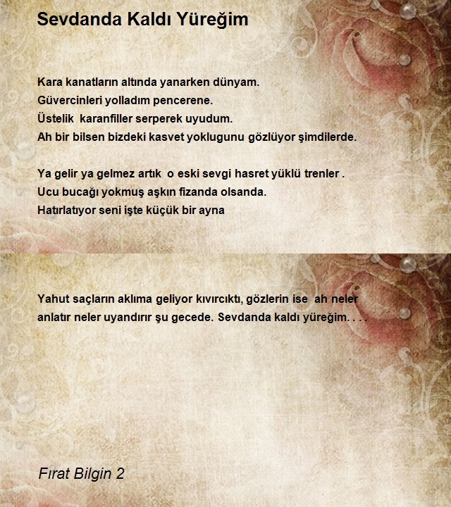 Fırat Bilgin 2