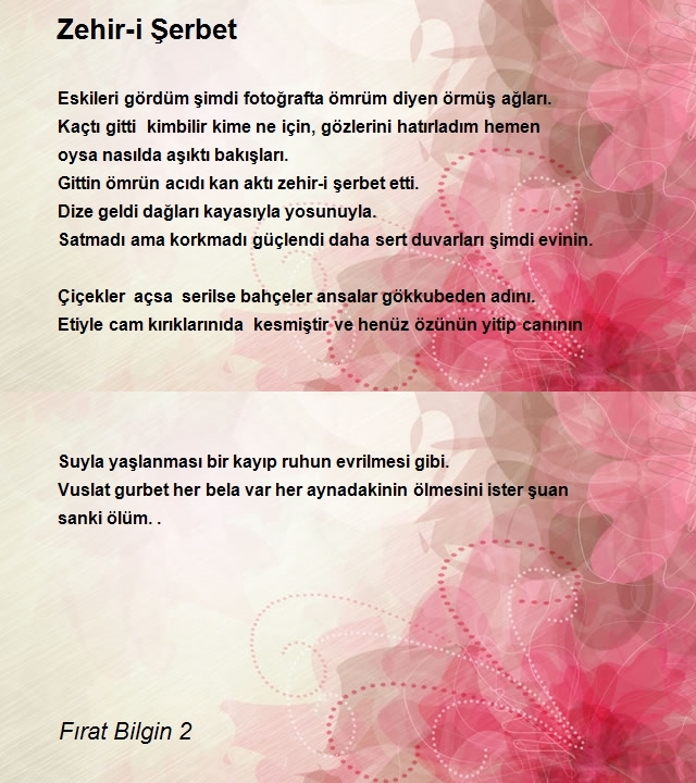 Fırat Bilgin 2