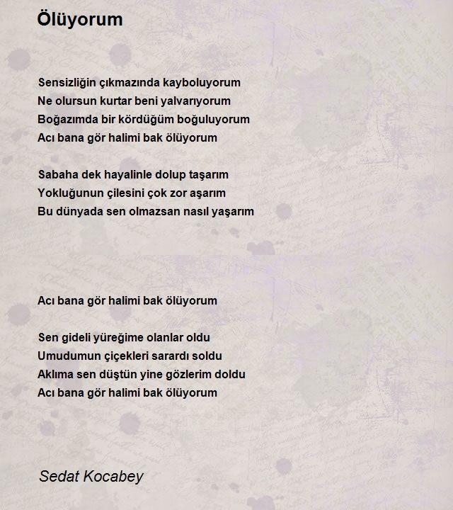 Sedat Kocabey