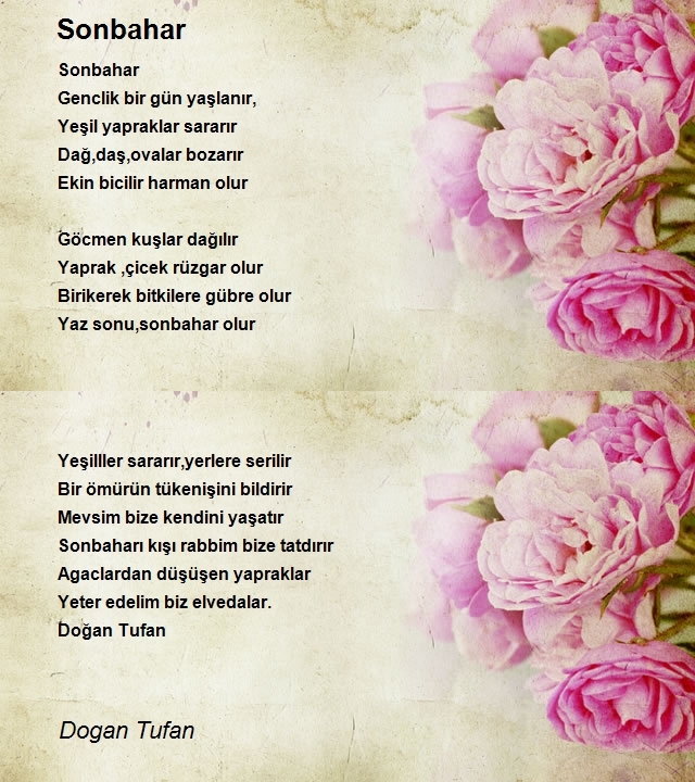 Dogan Tufan