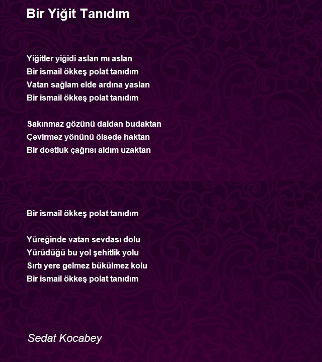 Sedat Kocabey