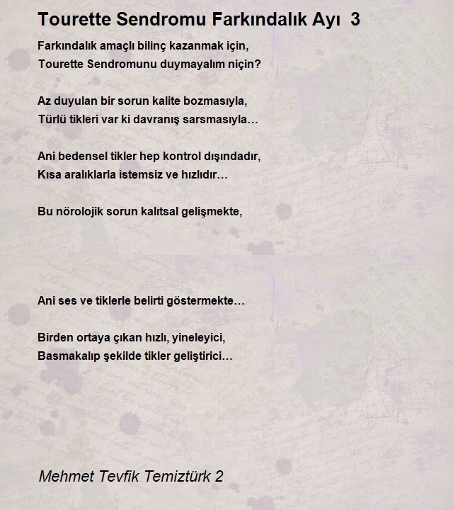 Mehmet Tevfik Temiztürk 2