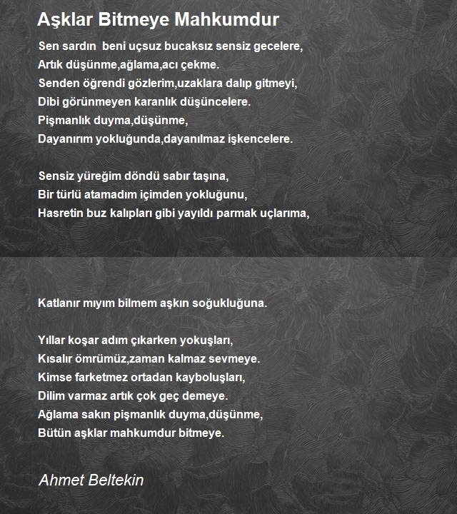 Ahmet Beltekin