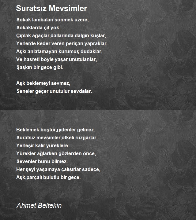 Ahmet Beltekin