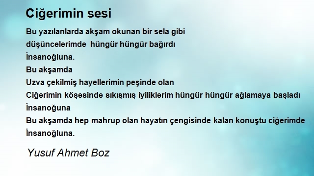 Yusuf Ahmet Boz