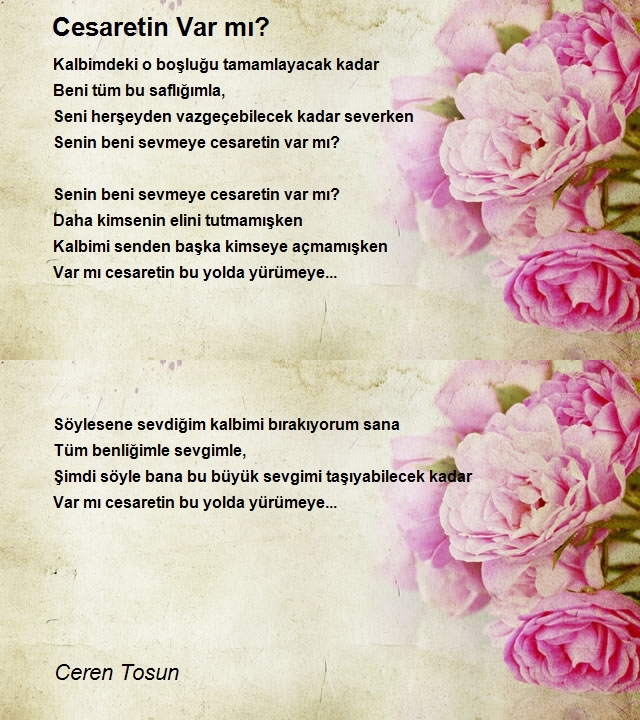 Ceren Tosun