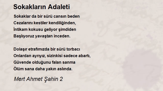 Mert Ahmet Şahin 2