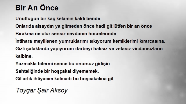 Toygar Şair Aksoy