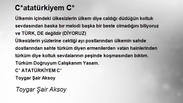 Toygar Şair Aksoy