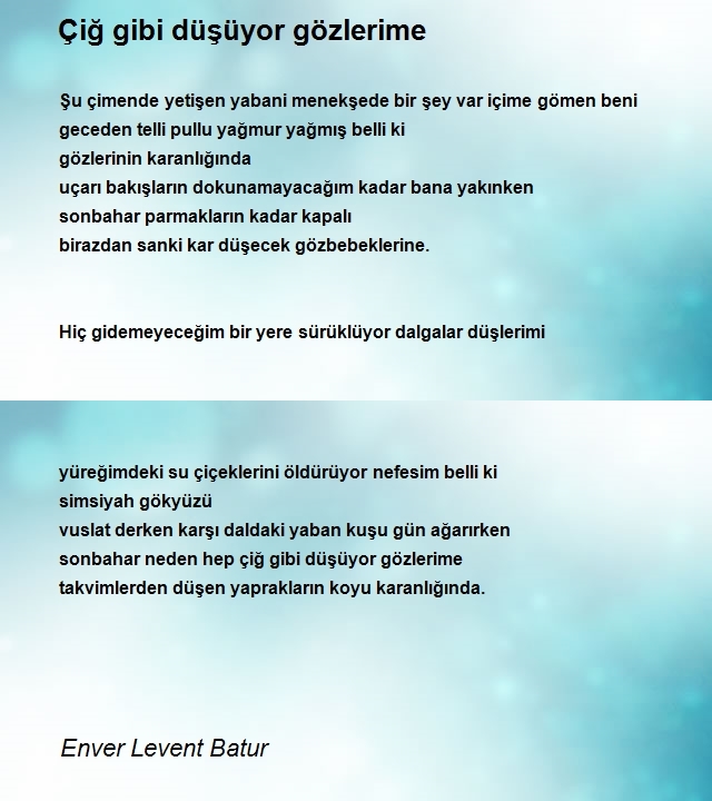 Enver Levent Batur