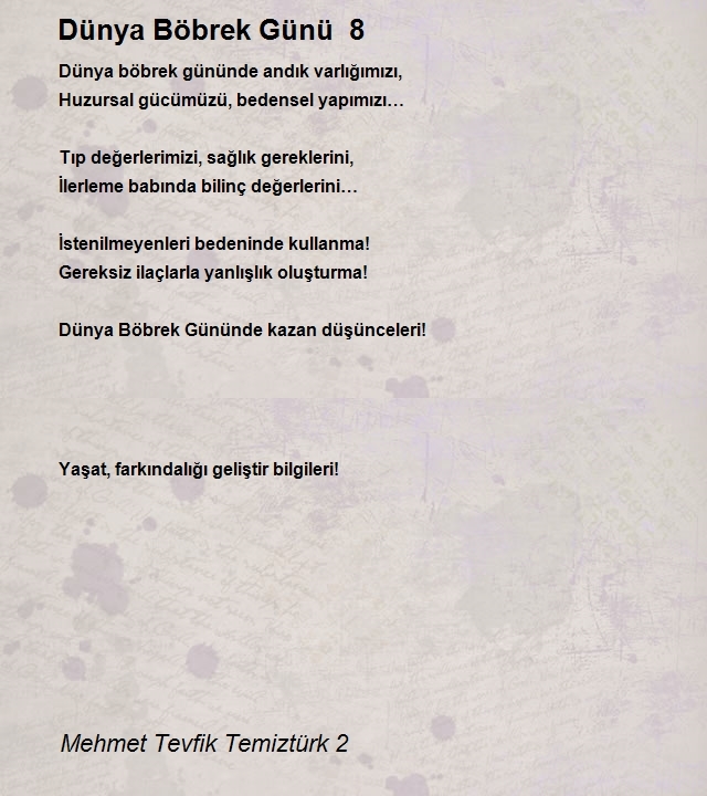 Mehmet Tevfik Temiztürk 2