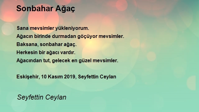 Seyfettin Ceylan