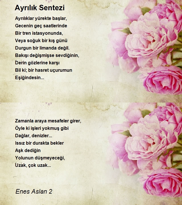 Enes Aslan 2