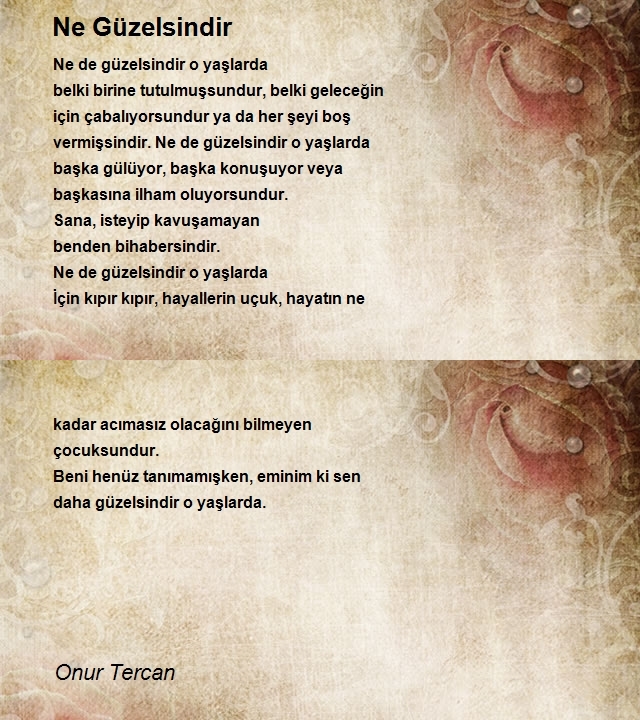 Onur Tercan