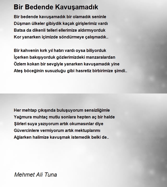 Mehmet Ali Tuna