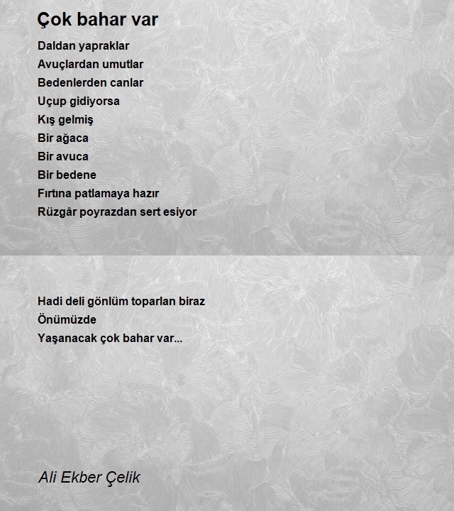 Ali Ekber Çelik