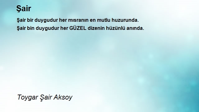 Toygar Şair Aksoy