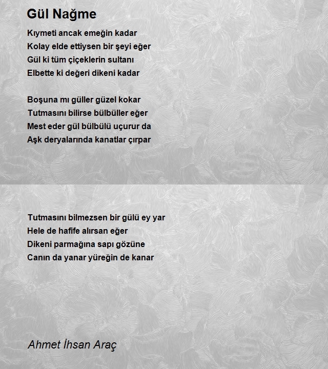 Ahmet Ihsan Arac