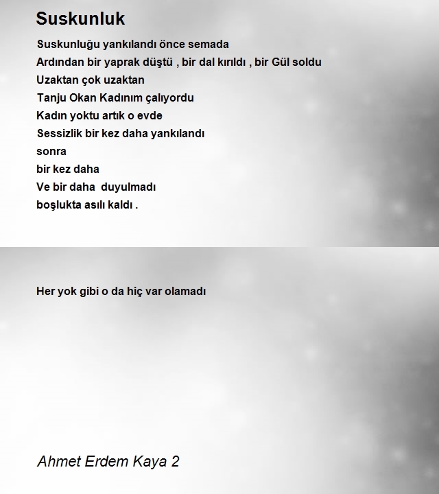 Ahmet Erdem Kaya 2