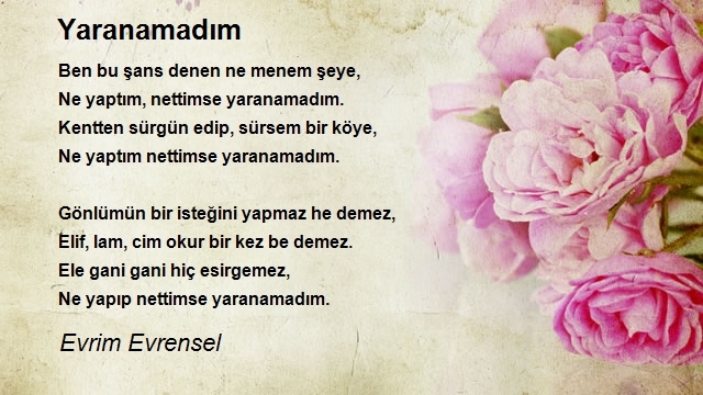 Evrim Evrensel