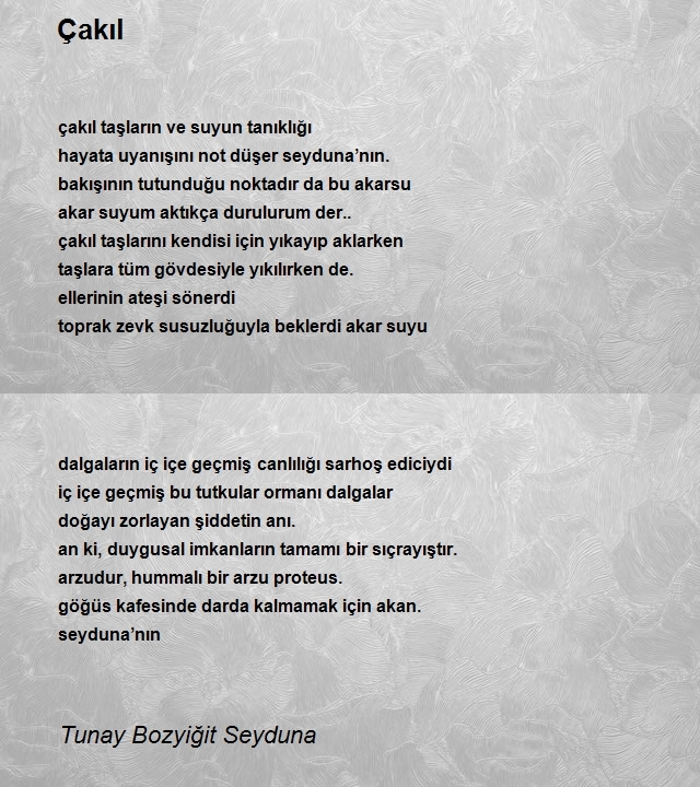 Tunay Bozyiğit Seyduna