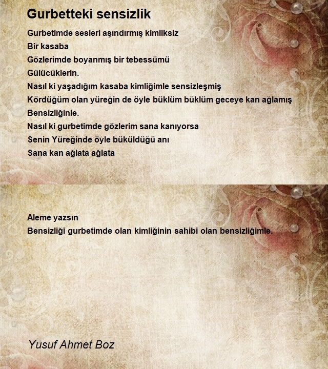 Yusuf Ahmet Boz